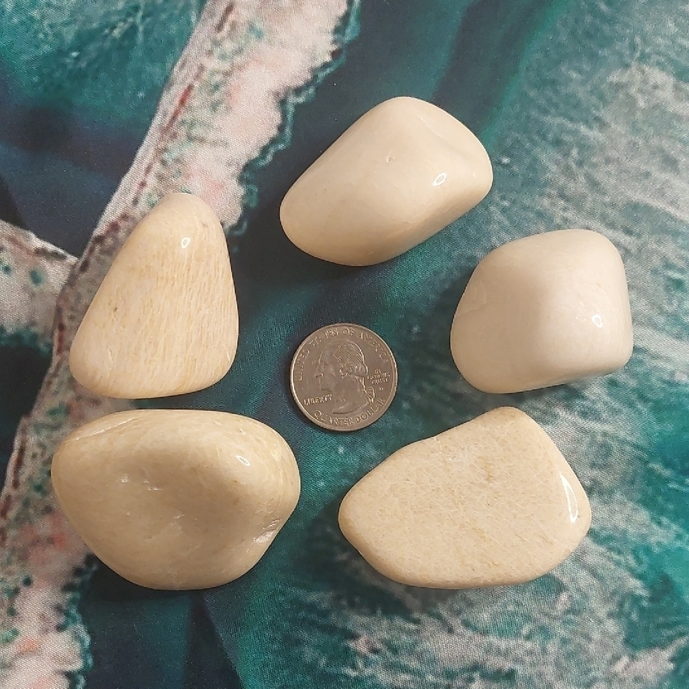 Polished Large Moonstone